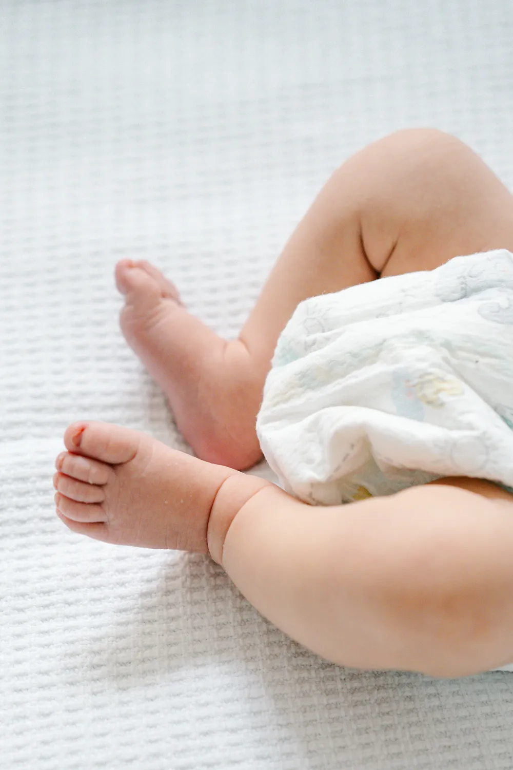 Finals-BabyXander-HLS-29